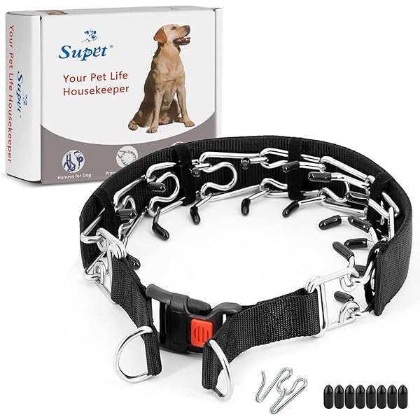 securiplex dog equipment