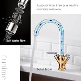 Funime Kitchen Sink Mixer Taps Monobloc Chrome Brass Dual Lever 1 Hole view 5