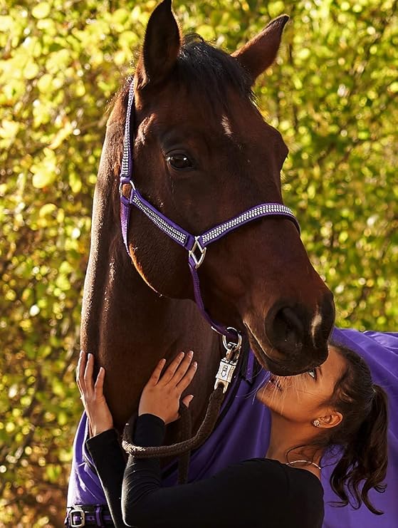 Glitzer Halfter Lila Bling w.Strass Nylon Minishetty Shetty Pony VB WB Extra Full Tysons ! (Warmblut)