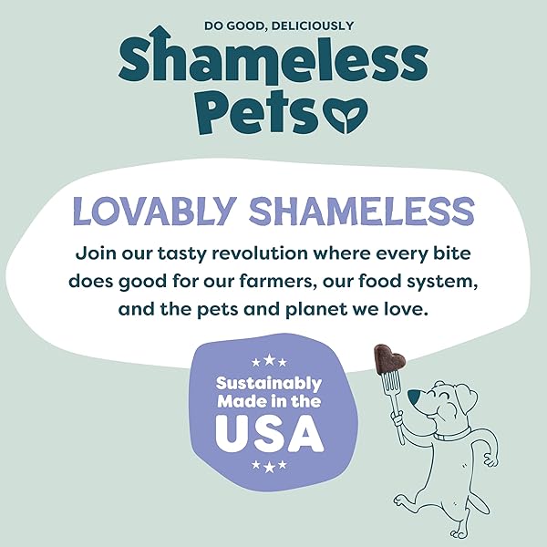 SHAMELESS PETS SOFT-BAKED DOG TREATS, BLUEBERRIED TREASURE – NATURAL & HEALTHY DOG CHEWS WITH MINT FOR IMMUNE SUPPORT – MADE IN USA, FREE FROM GRAIN, CORN & SOY – 1-PACK