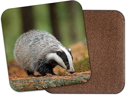 Amazon Co Jp かわいいアナグマコースター 英国の野生生物野生動物の森森のクールなギフト ホーム キッチン
