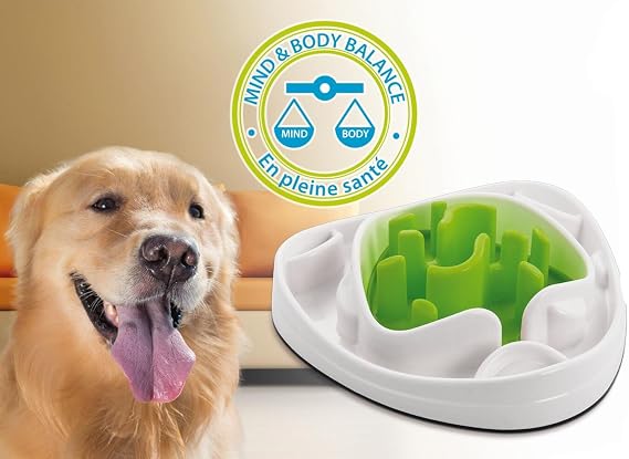 best cat auto litter box Oneisall Automatic Cat Litter Box & Pet Air Purifier Set  oneisall