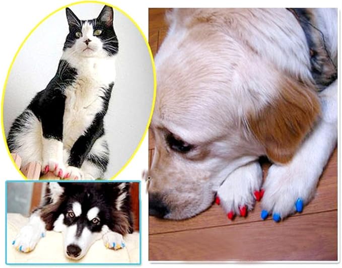 Amazon Qzsky 猫用 ネイルキャップ ネイルアート 猫 犬 爪カバー ひっかき防止 個 爪切り ネイルケア 通販