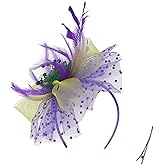QDC Fascinators for Women Tea Party Headband Hats Cocktail Flower Mesh Feathers Headwear Hair Clip for Wedding