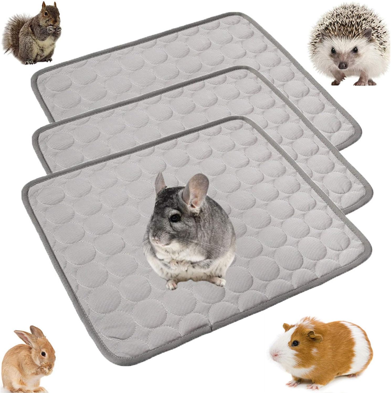 Amazon Com Pinvnby Guinea Pig Cage Liner Hamster Pee Pad Transpirable Pequeno Animal Ropa De Cama Super Absorbente Para Mascotas Manta Impermeable Plegable Dormir Cojin Para Conejo Chinchilla Conejito 3 Unidades Mascotas