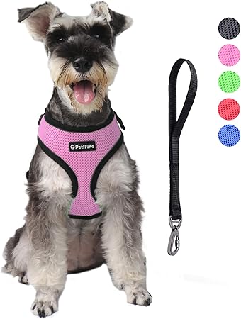large dog harness for car