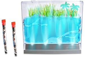 NATURE GIFT STORE Live Lighted Ecosystem Ant Habitat Shipped with 50 Live Ants Now (2 Tubes of Ants) - Lights Up
