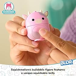 BLDR Squishmallows Patty's Farmers Market Building