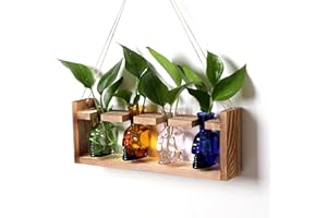 CYZGLASS Plant Propagation Stations Halloween Skull Plant Terrarium Kit Glass Vases Gift for Father Air Planter Home Office Decor