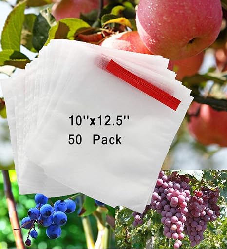 bolsas para uvas amazon