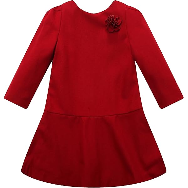 Amazon.com: Lilt Girls Red Velvet Faux Fur Satin & Rhinestone Santa Dress  Christmas Holiday 4: Clothing, Shoes & Jewelry