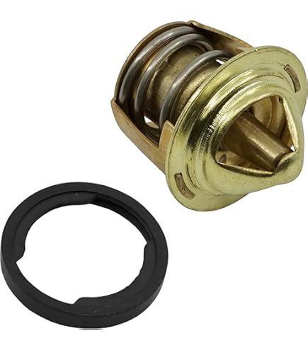 Amazon.com: Caltric Thermostat & O-Ring Compatible with