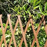 Kanta 2x Large Expanding Wooden Trellis 6Ft x 2Ft Garden Fence view 7