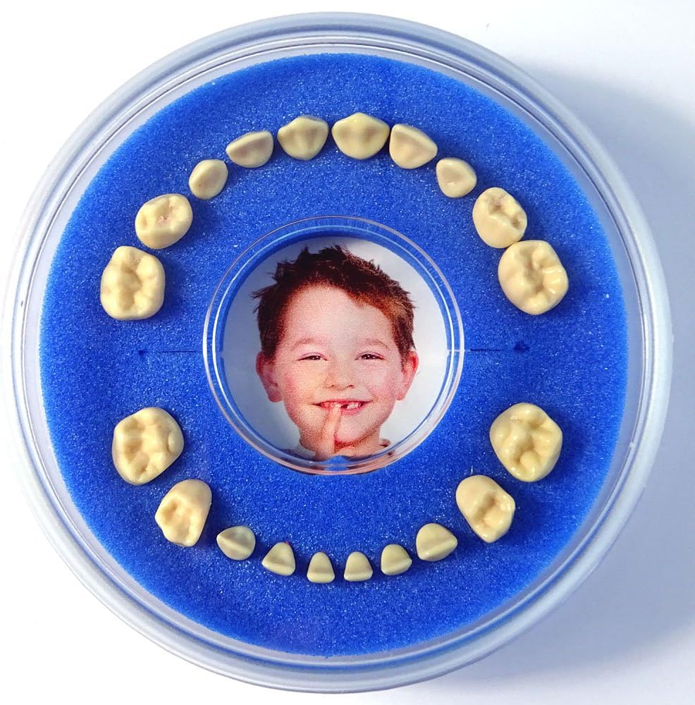 Firsty Baby First Tooth Box Round Magnetic- (Blue, Boy) - Including Fridge Magnet, Logbooklet and Sticker - Ships every Tuesday and FridaySticker --