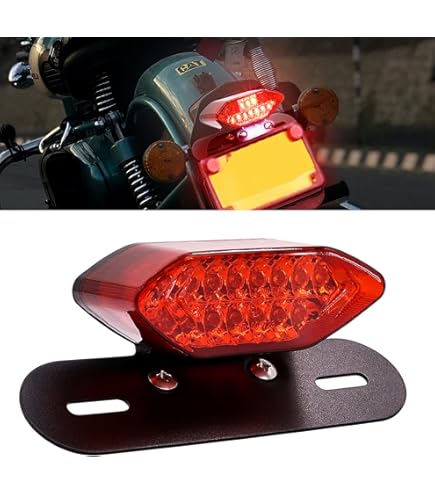 Taillight Smoke Smoke Front LED Turn Signal Light Fits