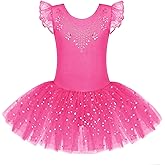 Zaclotre Kid Girls Ruffle Sleeve Ballet Skirted Leotard Shiny Dance Tutu Dresses