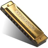 Randon C Key Harmonica Shiny Gold with Case for Adults Beginner | 10 Holes 20 Tunes, Phosphor Bronze Reeds and Metal Cover Plate Diatonic Blues Mouth Organ, for Musical Instrument Gift