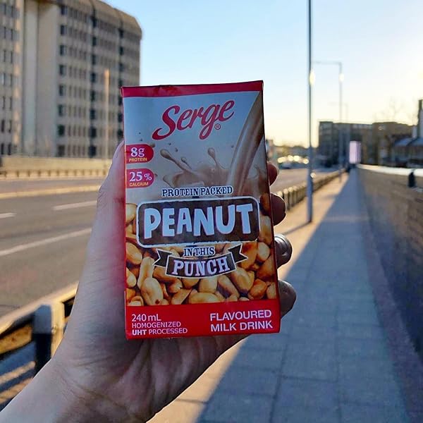 SERGE PEANUT PUNCH, 8.5 OUNCE (PACK OF 24)