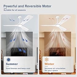 BvenuBigLite White Ceiling Fan with Light: 3 Blades