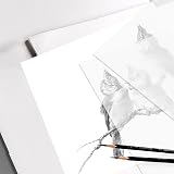WSICSE Sketching & Tracing Paper Roll 45cm x 50m White Translucent view 6
