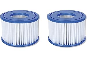 COLEMAN Bestway SaluSpa 90352E Swimming Pool Filter Pump Type VI Replacement Drop Down Cartridge Accessory for Clean and Hygienic Water (2 Pack)
