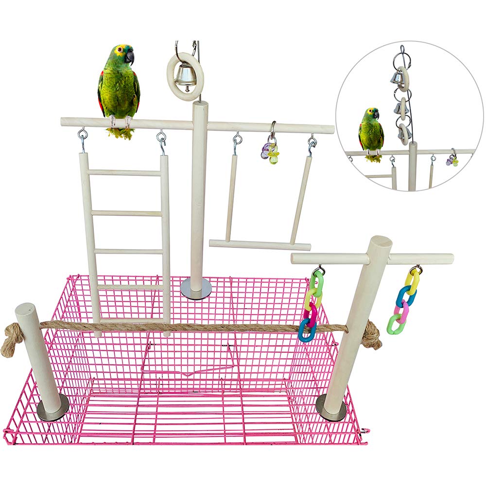 parakeet play gym