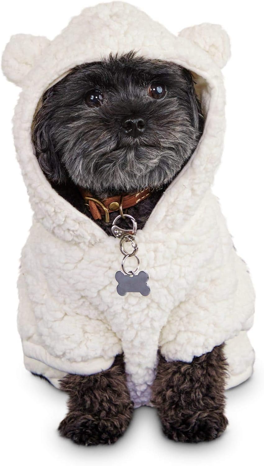 bond and company dog clothes