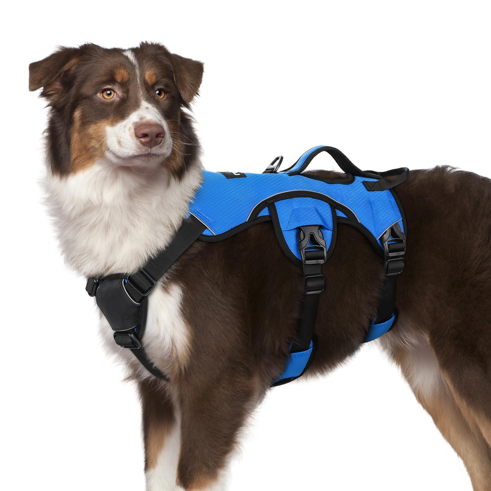 Photo 1 of rabbitgoo Escape Proof Dog Harness, Soft Padded Full Body Pet Harness, Reflective Adjustable No Pull Vest with Lift Handle and Leash Clip for Large Dogs Walking Hiking Training, M, Blue