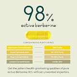 VitaBright Berberine 500mg Capsules 90 Veggie Softgels 98% Berberine HCL view 2