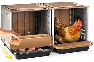 Chicken Nesting Box, 2 Compartment Nesting Boxes for Chickens, Chicken Laying Boxes