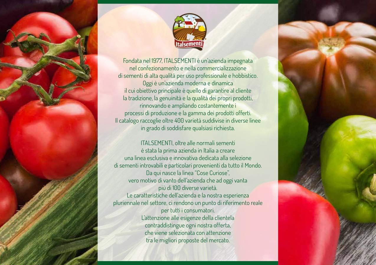 Italsementi Raperonzolo - Image 4