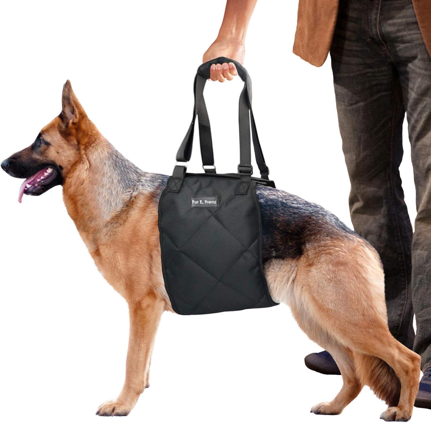 sling for dog with torn acl