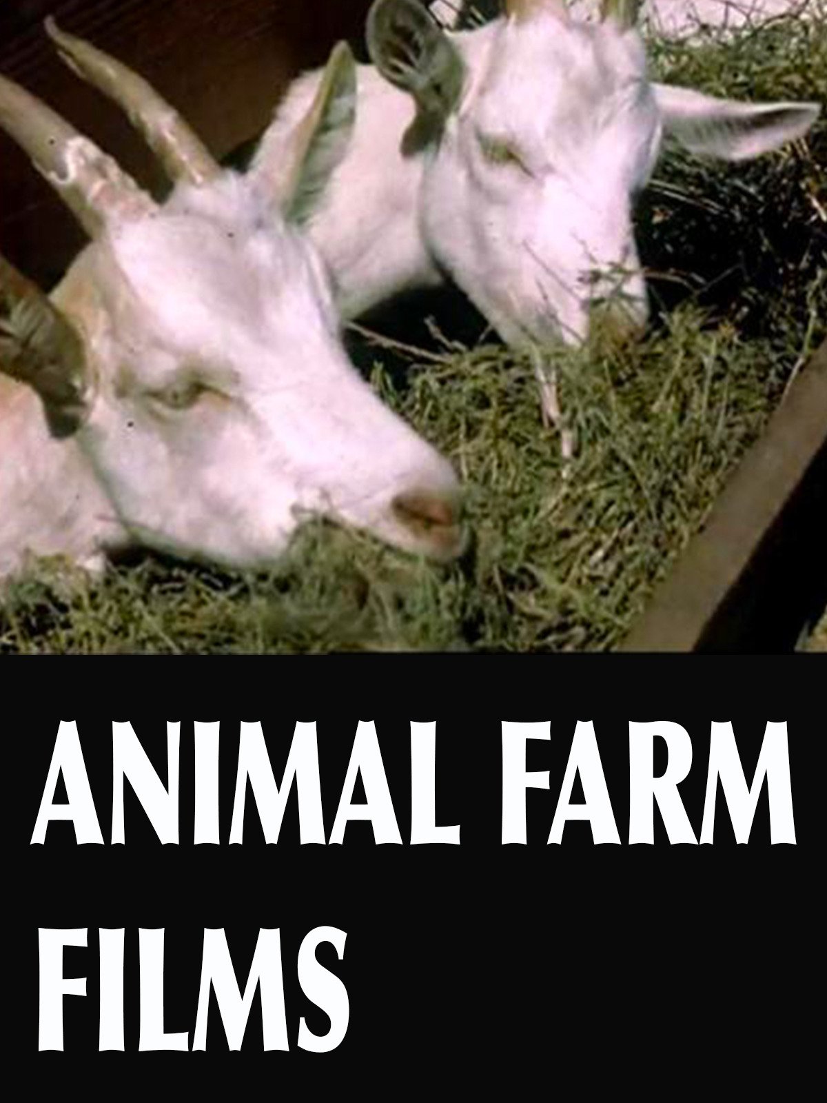 Animal Farm Films Sprocket Flicks Movies & TV