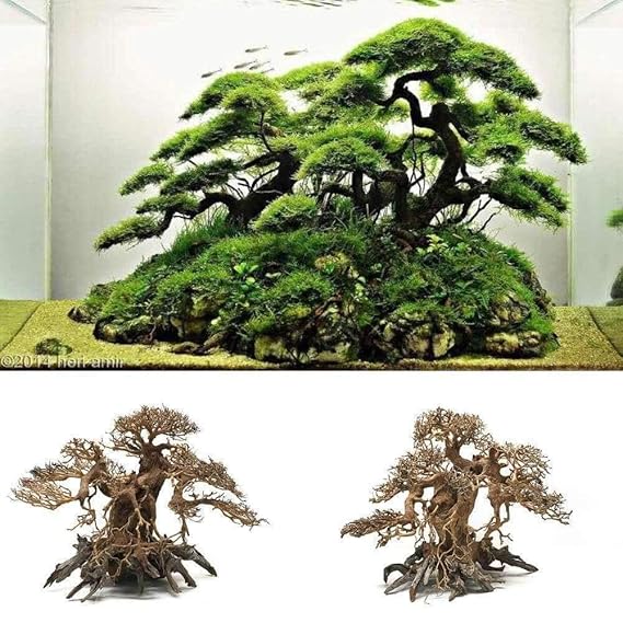 Sagar Aquarium Driftwood Banyan Tree Shape Wood Bonsai Tree for Fish