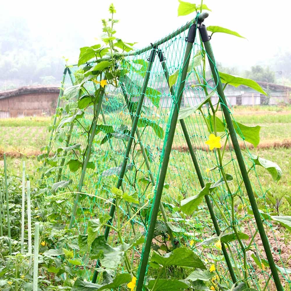 KINGLAKE Pea and Bean Netting - Image 5