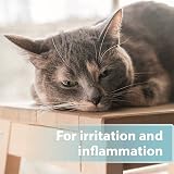 Felisept Skin Care Spray for Cats 250ml Mite Treatment Itch Relief view 3