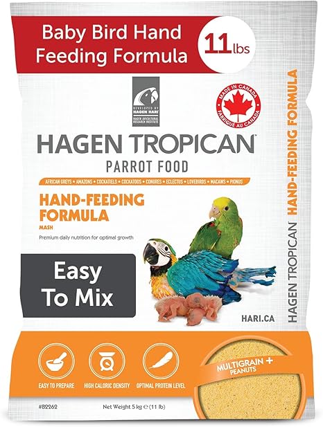 baby parrot food