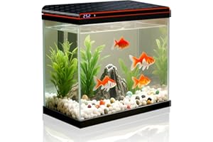TARARIUM 5 Gallon Fish Tank, Glass Aquarium Starter Kits, Self-Cleaning Water Pump & 3-Color Light with Water Temperature Detection for Betta Shrimp Guppy Jellyfish Goldfish Beta, Gift for Room Decor Kid