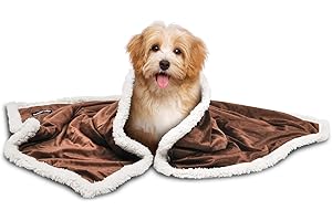 TIRRINIA Pawsse Sherpa Puppy Blanket for Small Dogs Kitten, Warm Flannel Plush Pet Bed Blanket Reversible, 45"x30" Brown/Latte