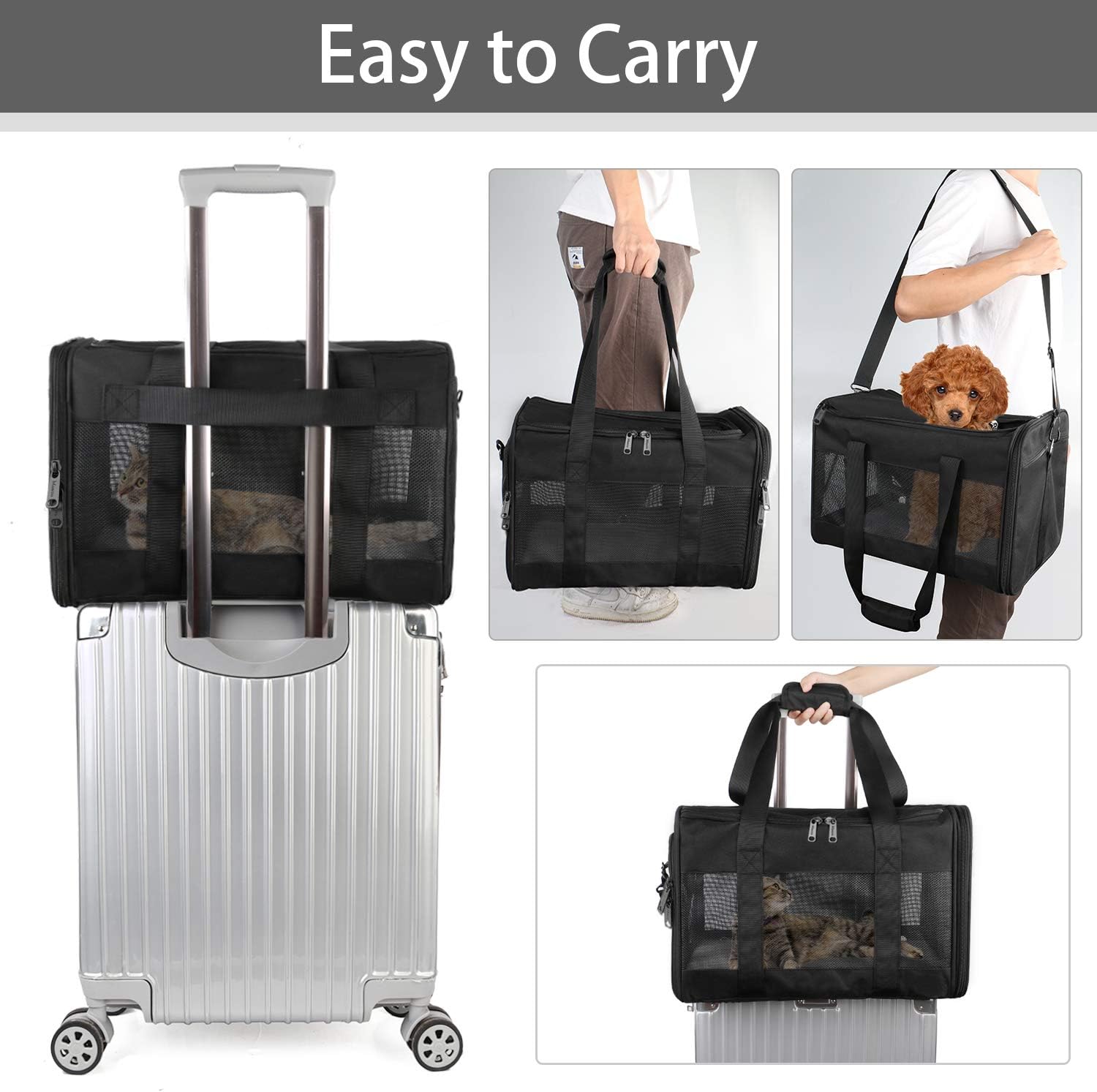 Mancro Pet Carrier Airline Approved, Soft-Sided Pet Travel Bag for Cats with Mesh Windows and Fleece Padding, Collapsible Dog Carrying Case Fit Under Airplane Seat for Kittens, Puppies and Small Dogs : Pet Supplies