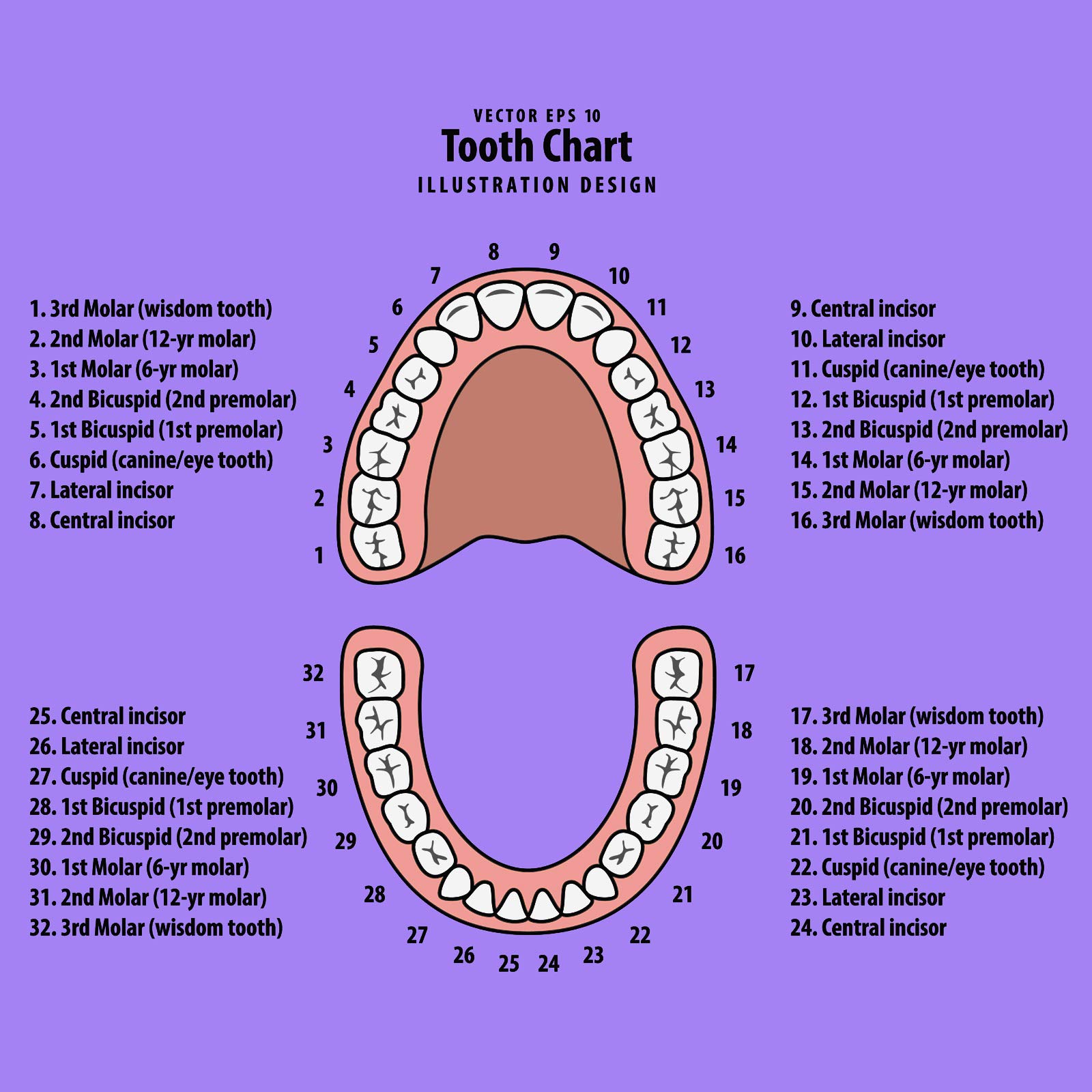 Baby Tooth Box Keepsake Box for Kids Teeth Storage Holder Baby Teeth Organizer Tooth Fairy Box with Baby Fetal Hair Container and Tweezer for Keeping The Child Memory (Purple-pink)