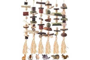 DBNESS 6Pcs Bunny Chew Toys, Hamster Rabbit Cage Hanging Entertainment Toy, Natural Apple Wood Timothy Grass Bunnies Treats, 