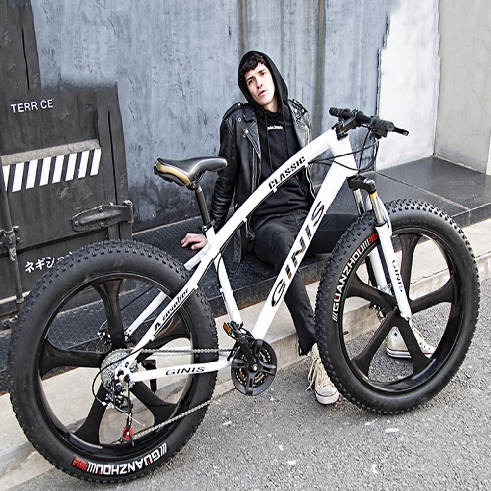 30 inch fat tire bike