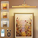 Brightown Picture Light Battery Operated with