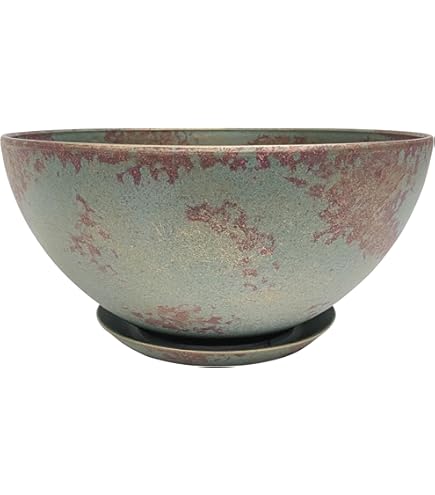 Amazon.com: Hachiman gardens: arbre Eco Pot Flower Pot, Shallow