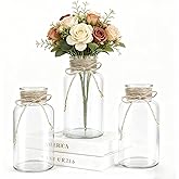 LEYIQU Vintage Glass Flower Vase, Farmhouse Glass Centerpiece Vases Mason Jars for Weddings, Parties & Home Decor Bulk (3, Transparent)