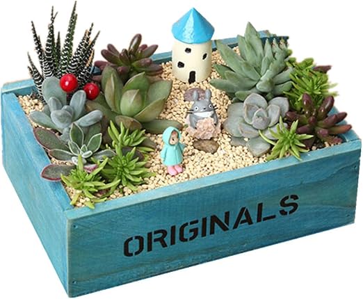 Rústico olla de plantas flores Cactus de madera estilo Retro olla ...