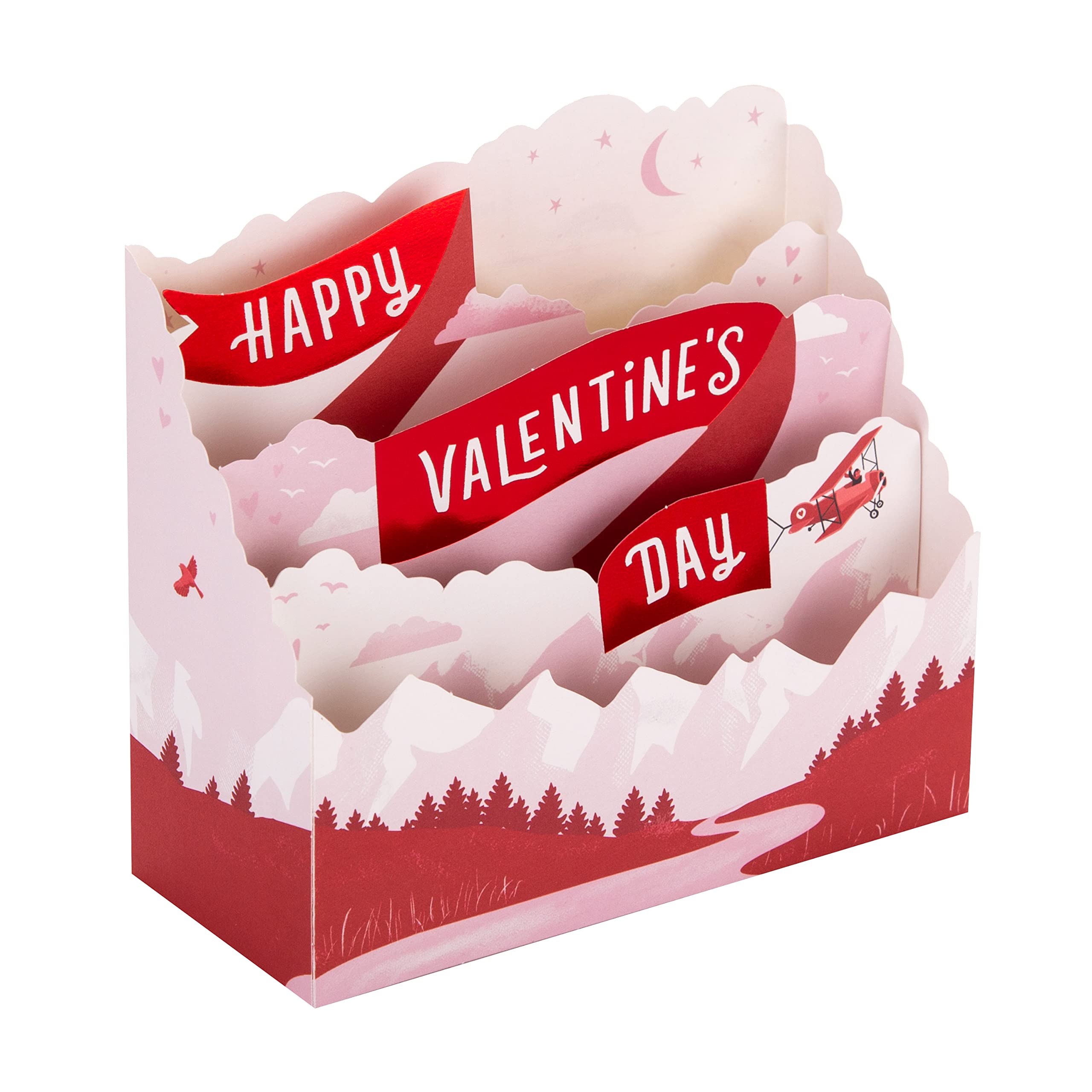 Hallmark Valentines Day Card, 3D & Pop Up, Aircraft in the Mountains Design, Cute, Pink, Red