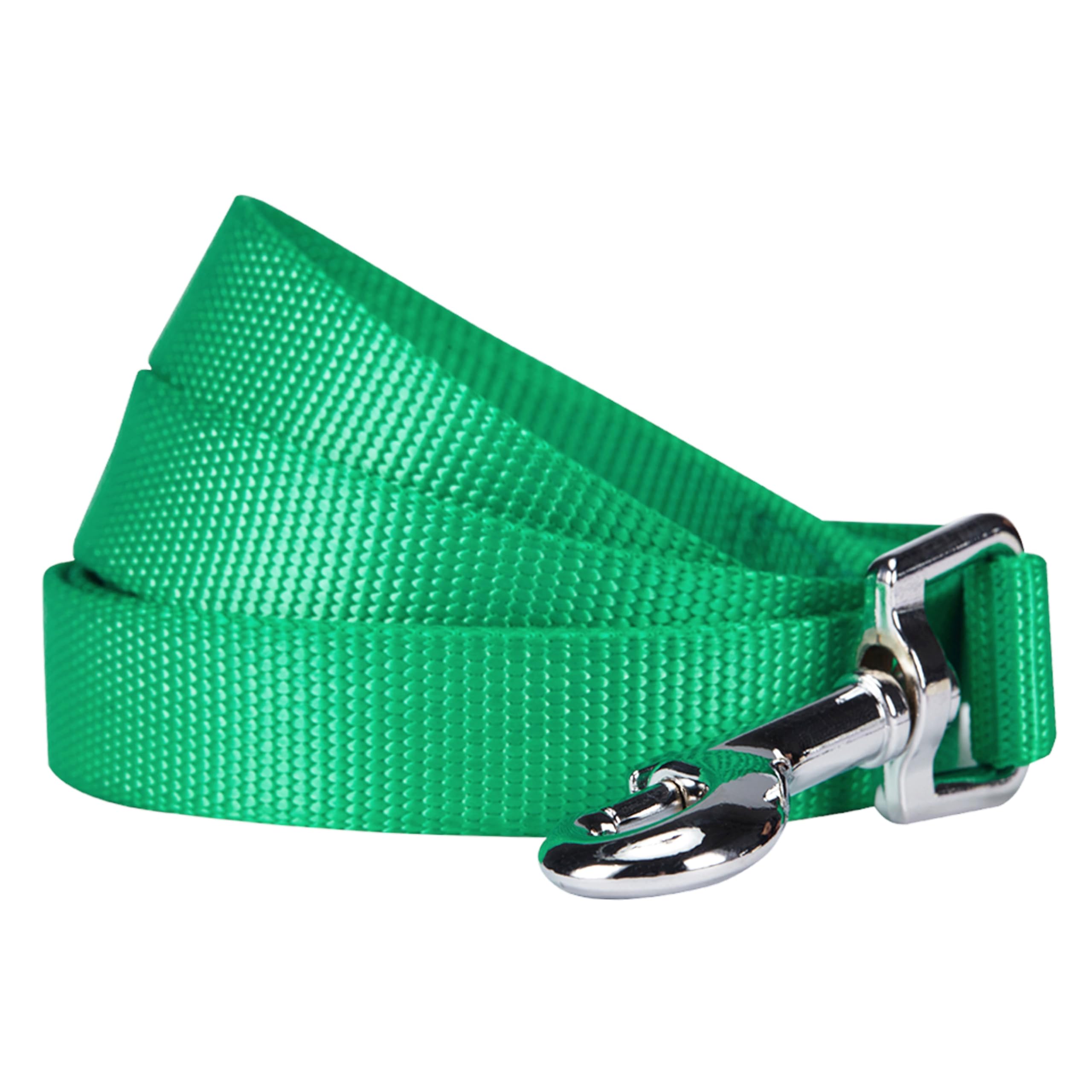 Blueberry Pet Durable Classic Solid Color Dog Lead 150 cm x 1cm for Puppy in Emerald, X-Small, Basic Nylon Leads for Dogs, Matching Collar & Harness Available Separately
