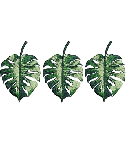 Amazon.com: Monstera Leaf Patch  Tropical and Realistic Embroidered Plant  Applique for Jackets, Backpacks, Hats, Bags, and DIY Craft Projects : Arts,  Crafts & Sewing